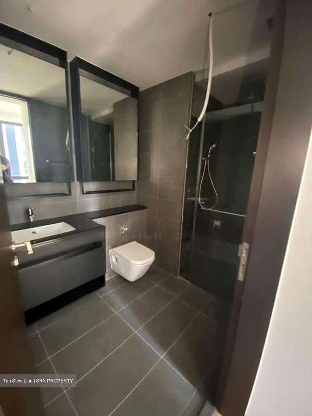 Park Colonial (D13), Condominium #529742861